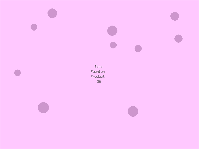 Zara Fashion Product 36