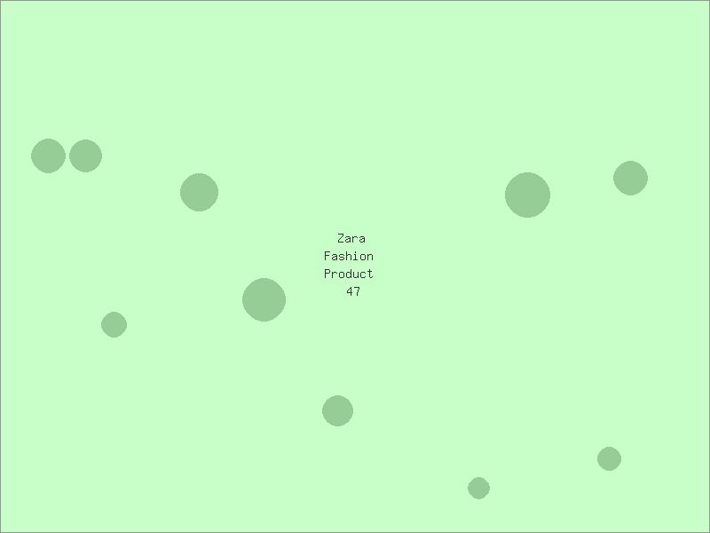 Zara Fashion Product 47