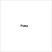 Puma Logo